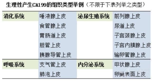 CA199 升高可能是哪些情况？一文为你深度解读