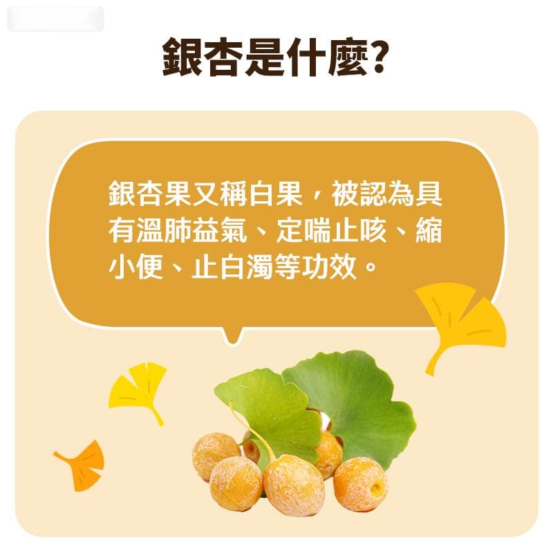 银杏功效能帮助记忆力吗？了解银杏功效、副作用、用量和禁忌