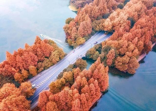 杭州秋天一定要去的6大打卡地，杭州宝藏赏秋攻略绝对不能错过！