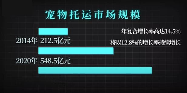 2024年宠物托运市场规模分析：宠物托运市场销量环比增长95%
