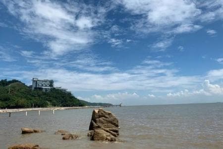 珠海淇澳岛旅游攻略：景点介绍、美食推荐与实用贴士