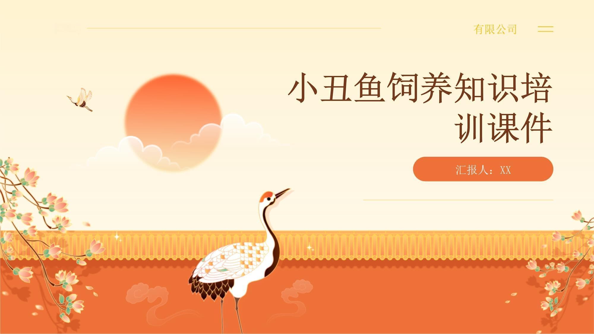 小丑鱼饲养知识培训课件