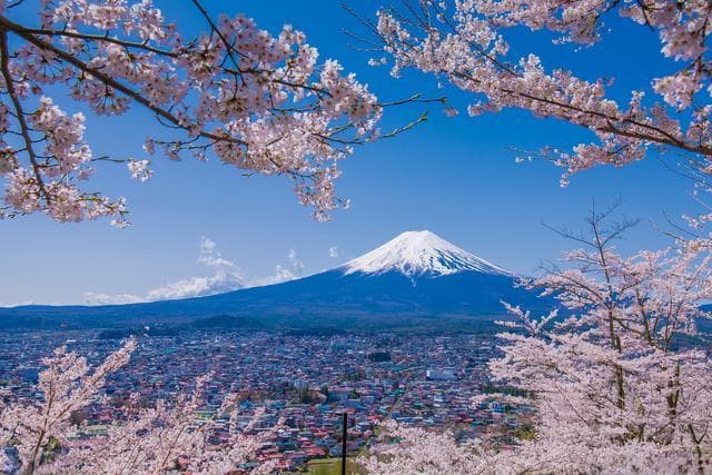 日本旅游攻略：5000元起，北海道京都冬景全览