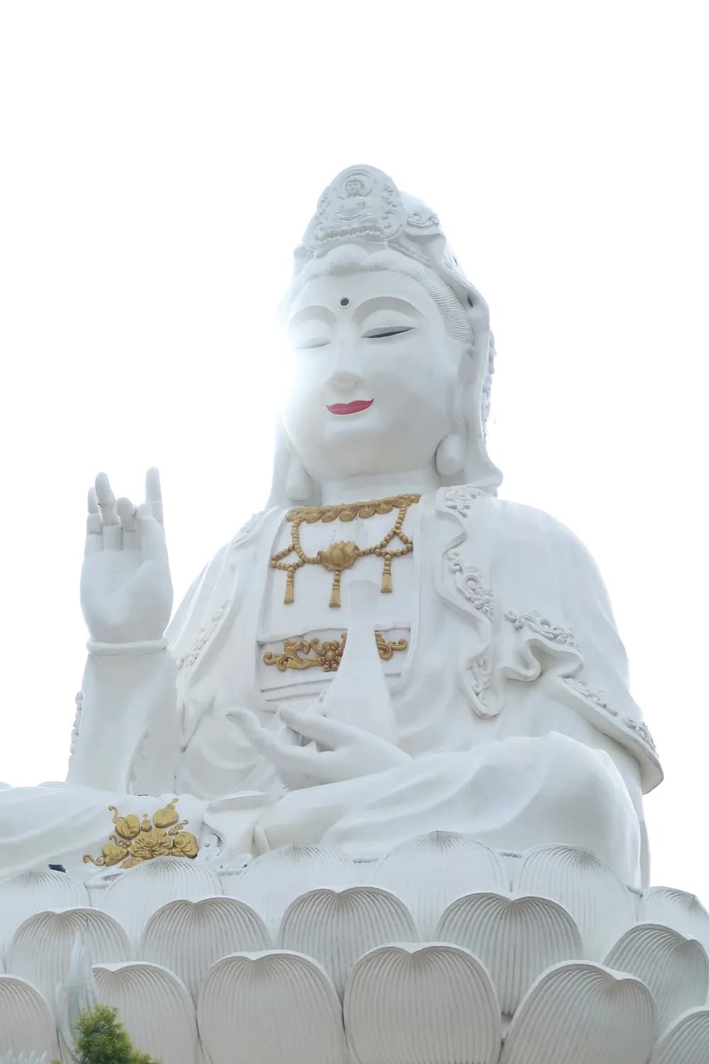 观音菩萨为何独爱莲花？背后有这些深意！