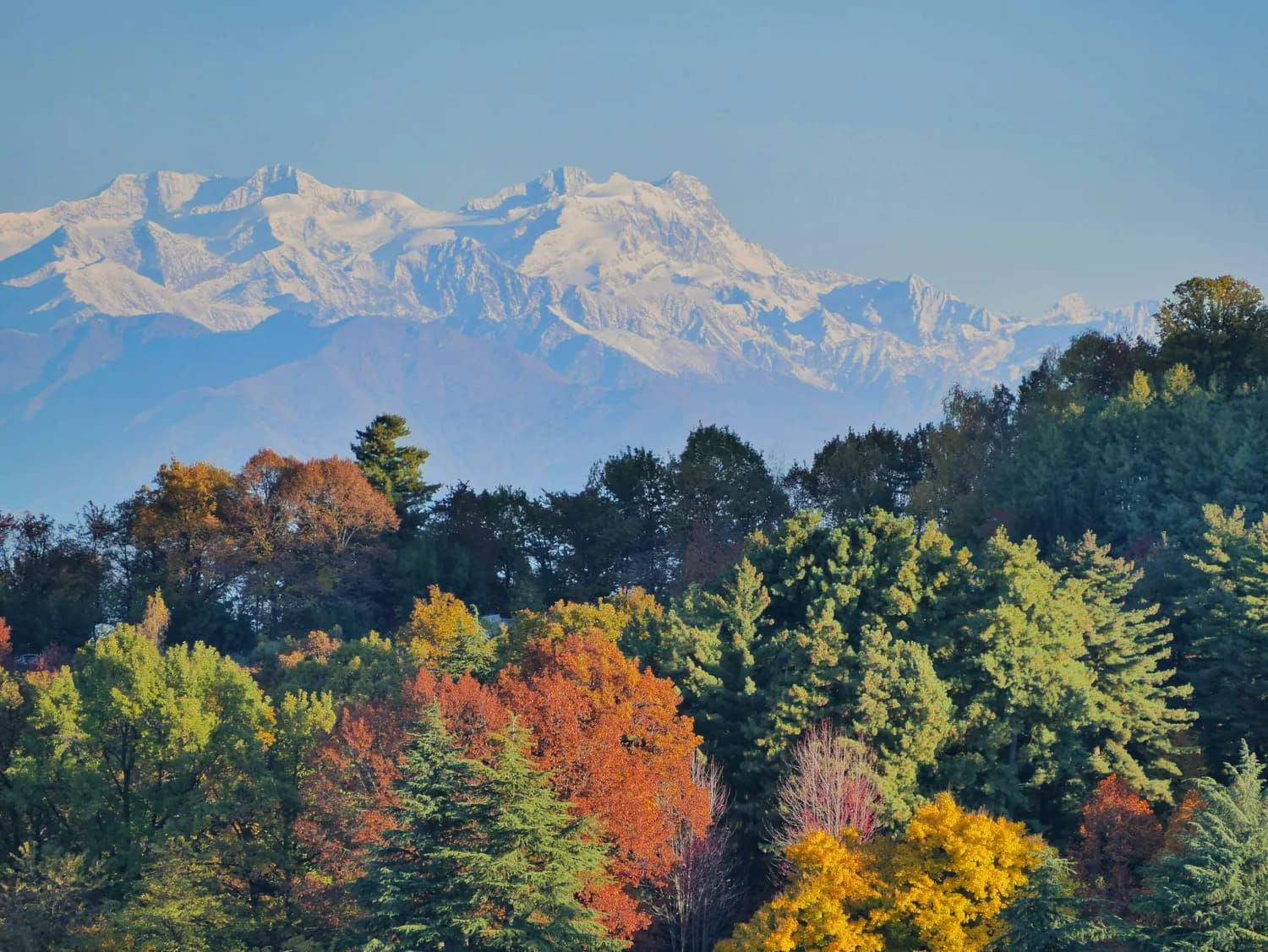 秋冬打卡：青城山、都江堰、峨眉山