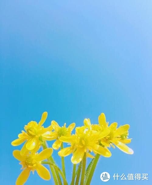 职场小白变大神！这5本秘籍你绝不能错过