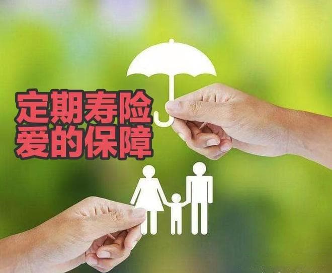 一文看懂定期寿险