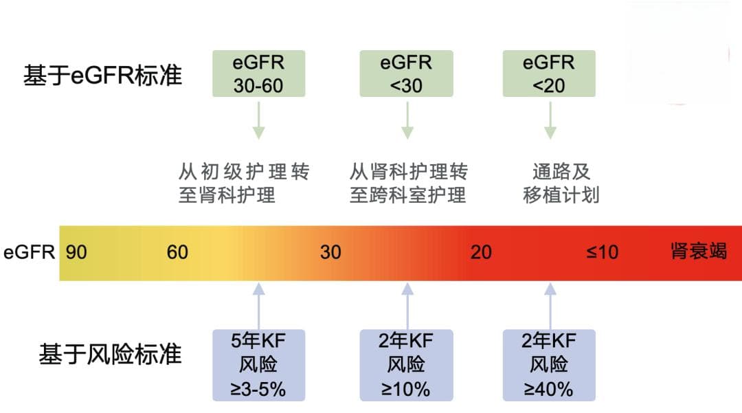 2024版KDIGO CKD评估与管理临床实践指南要点更新解读