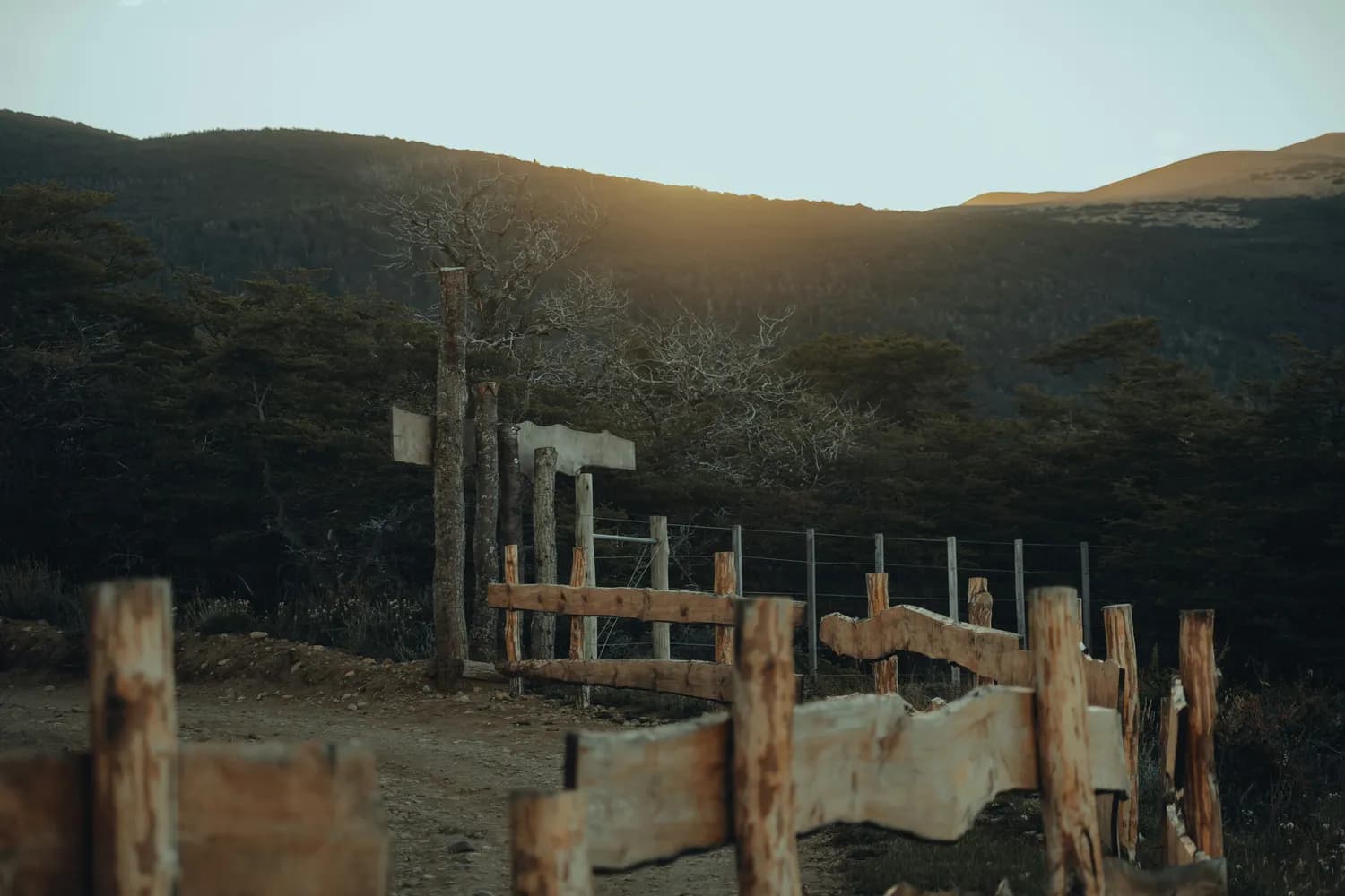王维《山中送别》：一首未言明的送别诗