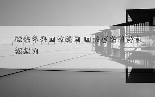 秋去冬来四季轮回 四季更迭感受自然魅力