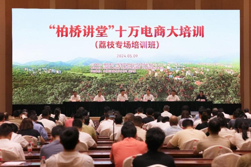 “助荔”飞入寻常百姓家，拼多多如何解好农产品上行“必答题”？