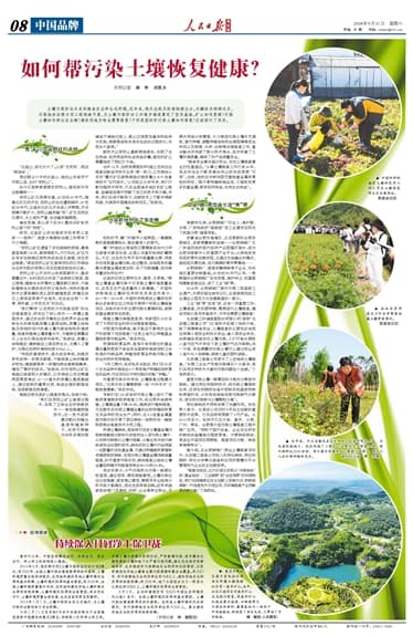如何帮污染土壤恢复健康？