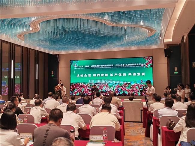 量稳质优、价格抗跌，武都花椒引领市场风向