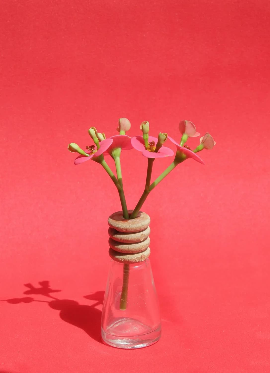 亲子DIY：用可乐瓶做水彩梅花