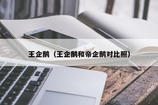 王企鹅：南极地区的优雅巨人