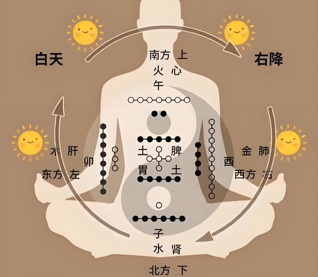 '气机升降'理论详解