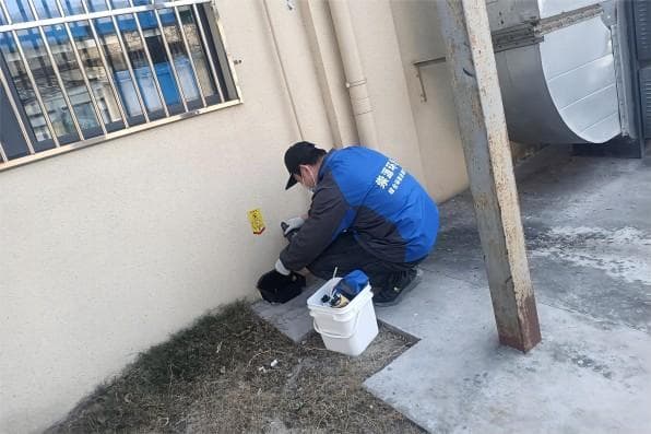 老鼠吃了鼠药会有什么反应，多久才会死去?