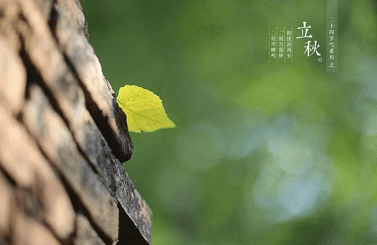 【诗词鉴赏】夏意悠未尽 忽觉秋已来，有关立秋的诗词，迎接秋天的到来！