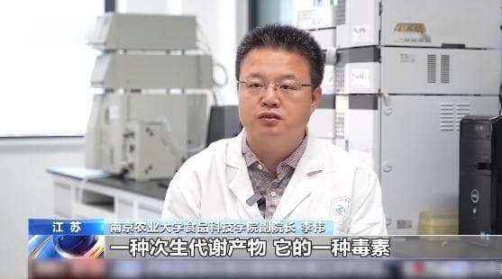 当心隐形致毒“霉菌” 食物出现这些情况千万别吃