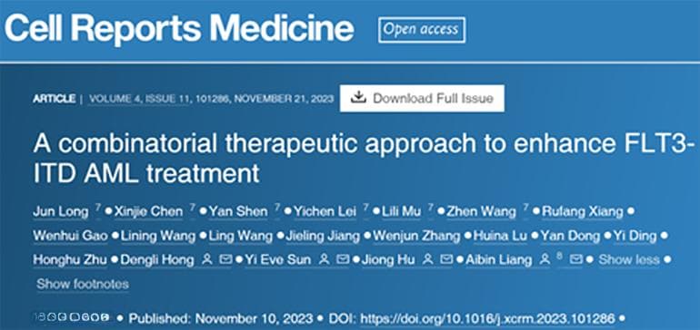 FLT3抑制剂联合蛋白酶体抑制剂治疗FLT3-ITD AML新策略
