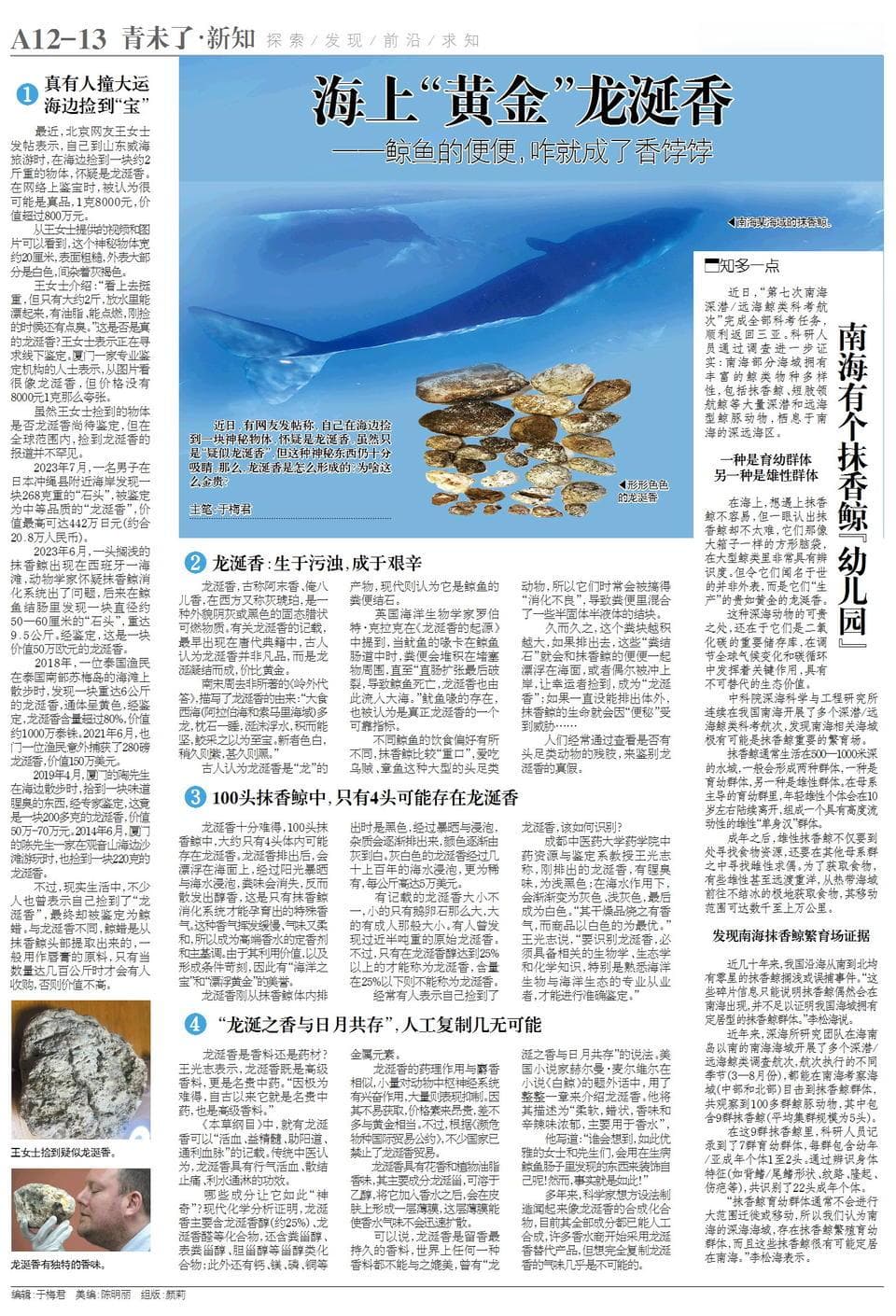 那么多人捡到龙涎香，咱能不能也这么好运？