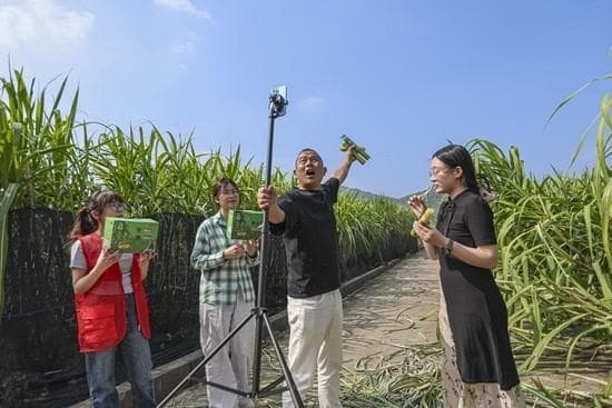 网络主播“转正”成青年就业新赛道 用好直播“新农具” 年轻人让乡村“出圈”