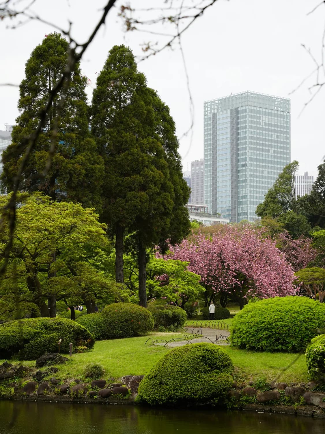 春游赏花攻略：从城市公园到郊外景区的踏青指南