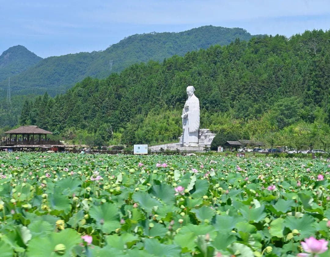 行走环带·探秘大武夷④ | 寻芳五夫，朝圣朱子