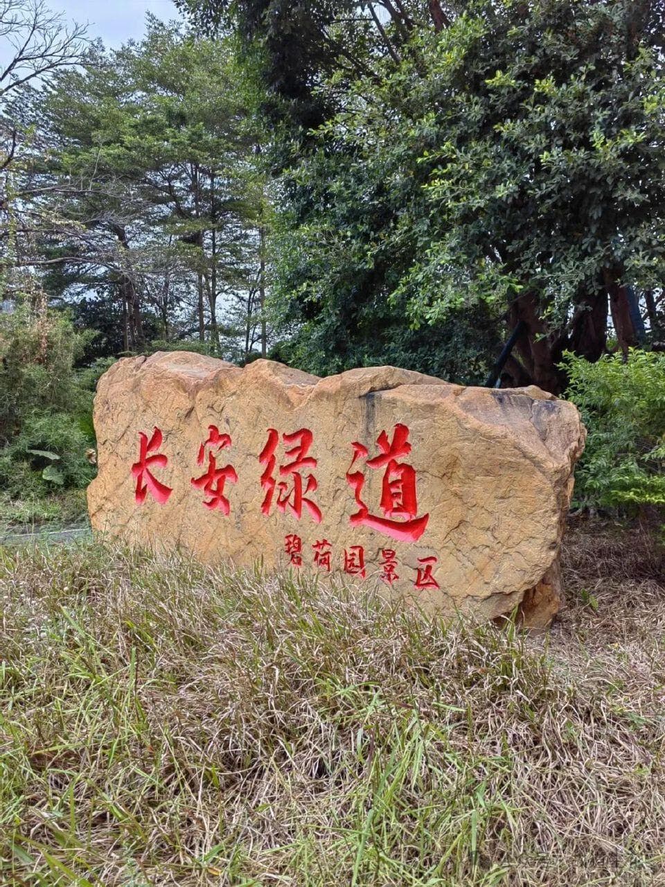反向穿越深圳凤凰径：长安至罗田27公里徒步攻略