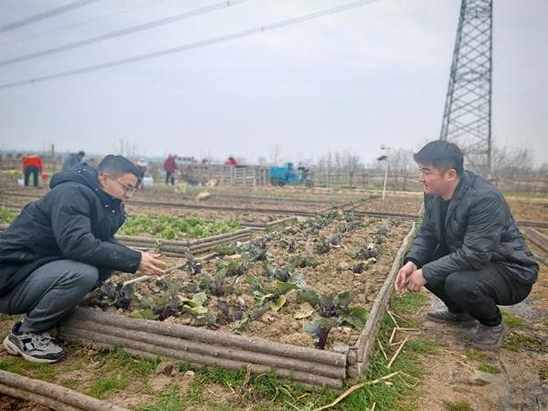 安徽合肥：90后“当家人”领跑乡村振兴路