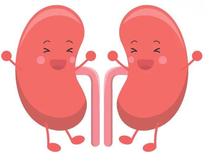 【邵医营养】吃对食物，让结石“绕道走”！——远离"疯狂的石头"！