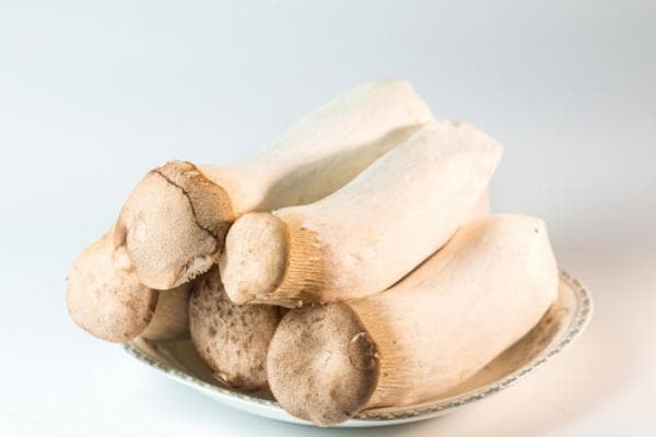 杏鲍菇是什么味道？杏鲍菇有腥味正常吗？