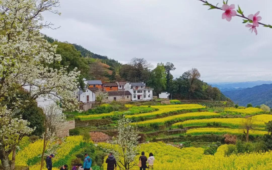 适合2-4月游玩的6座小众城市，不踩雷旅行地攻略篇