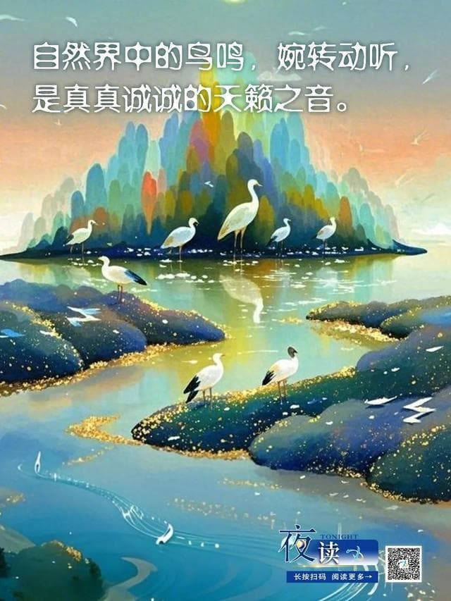 鸟鸣的解读