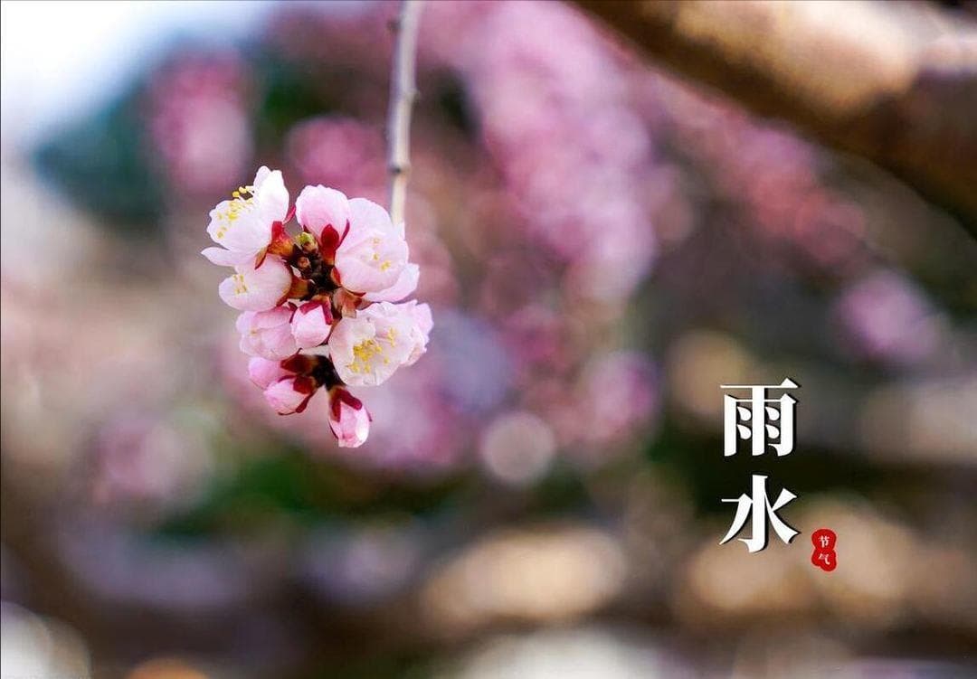 雨水到，必吃这3样！祖宗藏了千年的“神仙吃法”，打赌你不知