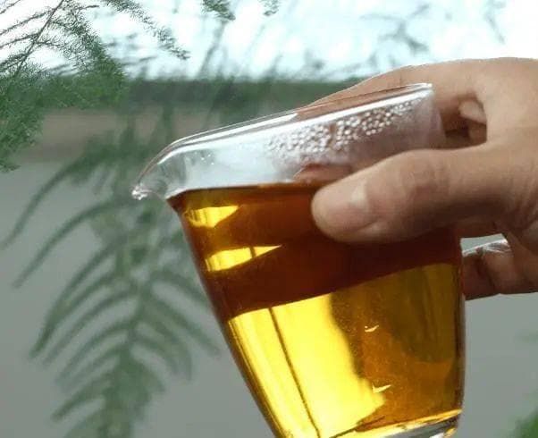 喝茶有讲究：6种常见错误习惯要当心