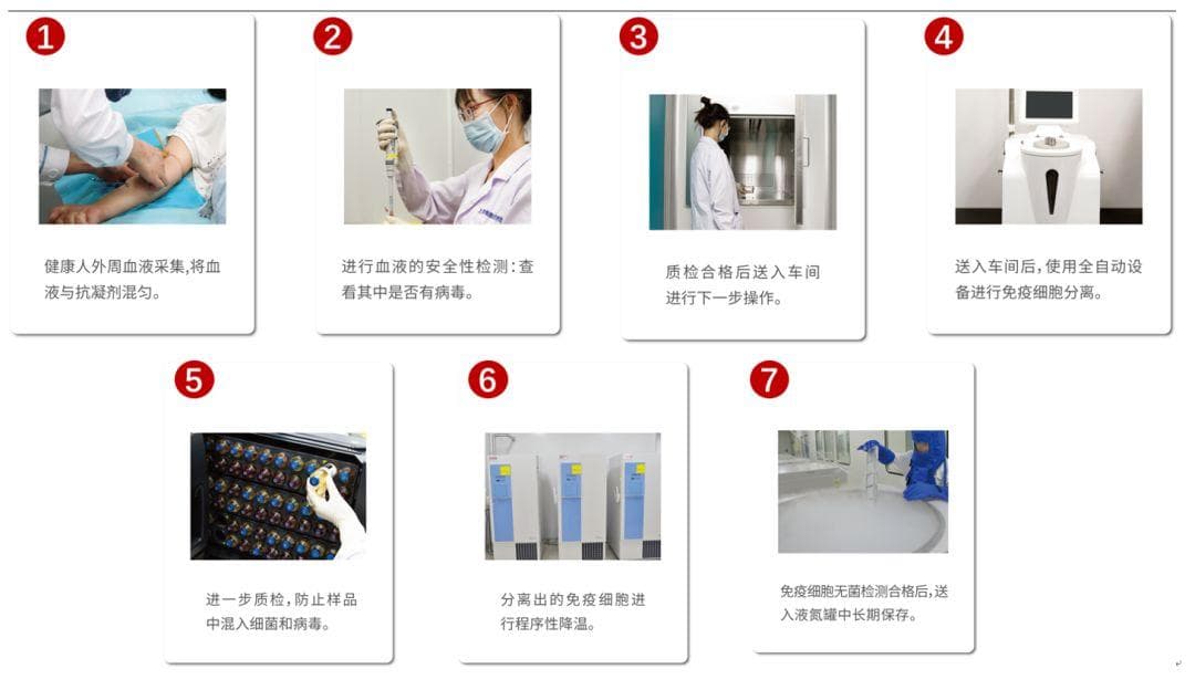生物样本存储专业知识分享 | 免疫细胞储存与治疗技术