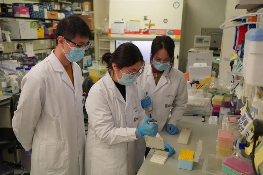 港大医学院开发PD-1增强型DNA疫苗取得突破 实现六年艾滋病预防及病毒控制