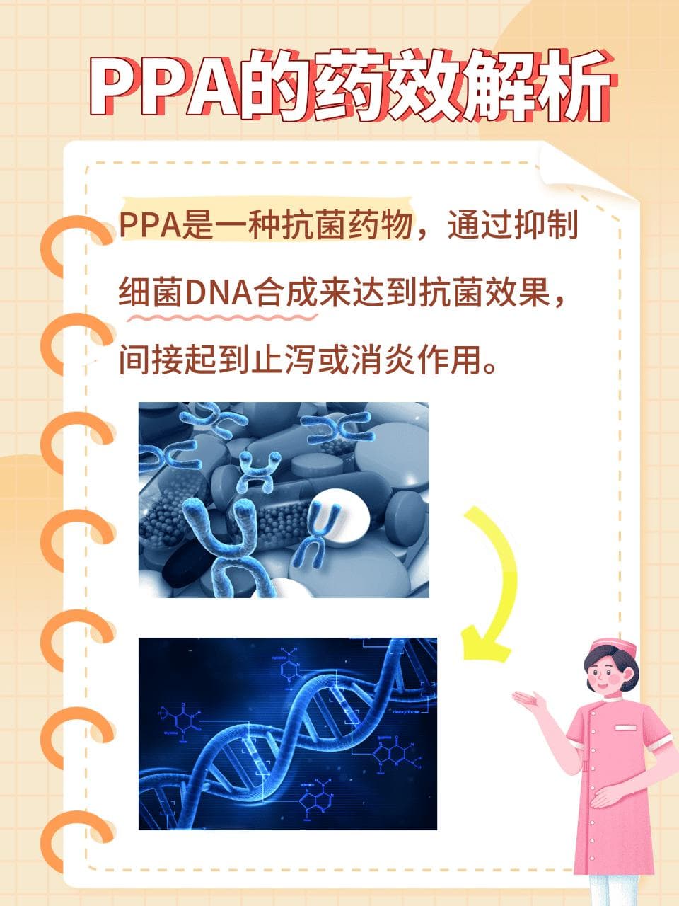 PPA是止泻的还是消炎的？今天给你讲清楚