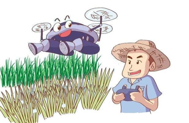 给小麦除草，隔壁大蒜却“中枪”，责任如何划分？