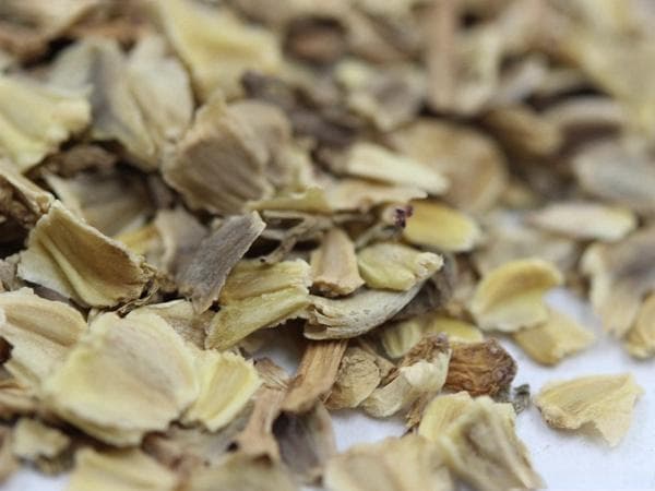 花环菊种子如何种植？这样做能让花开得更好
