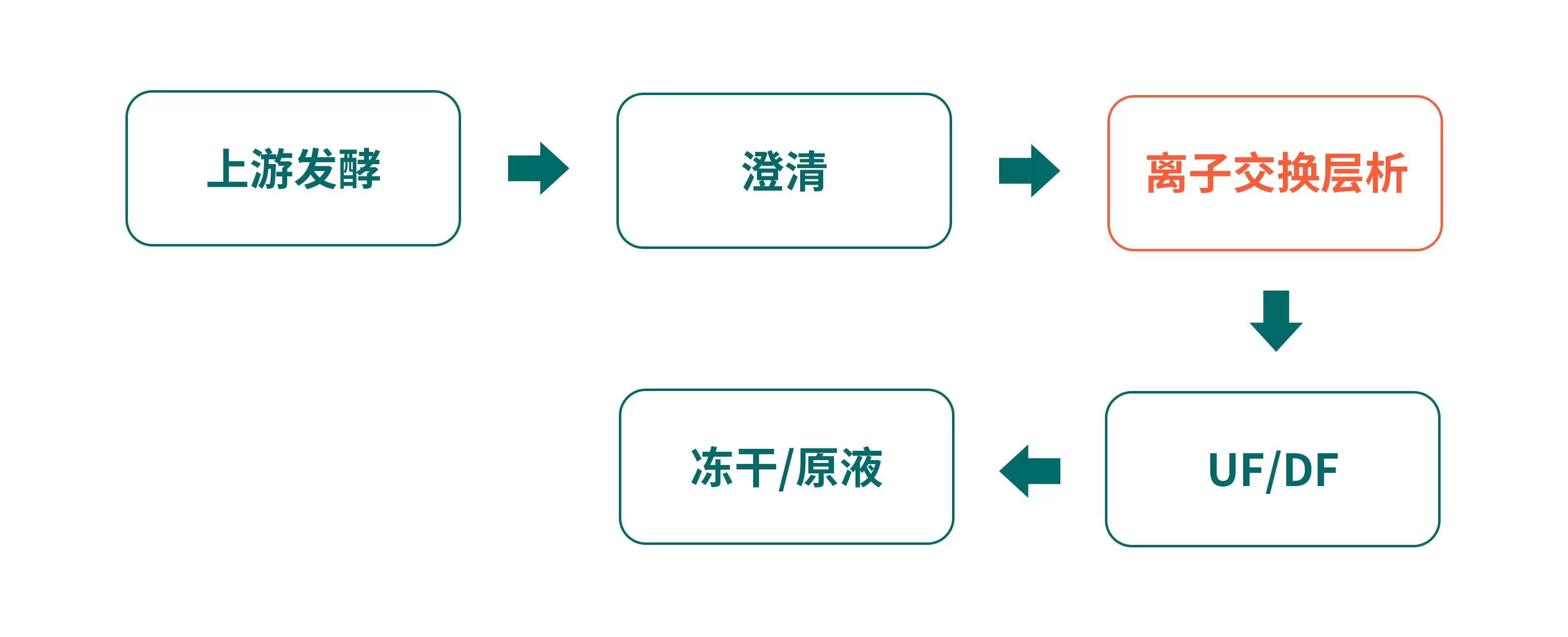 胶原蛋白纯化策略与案例分享