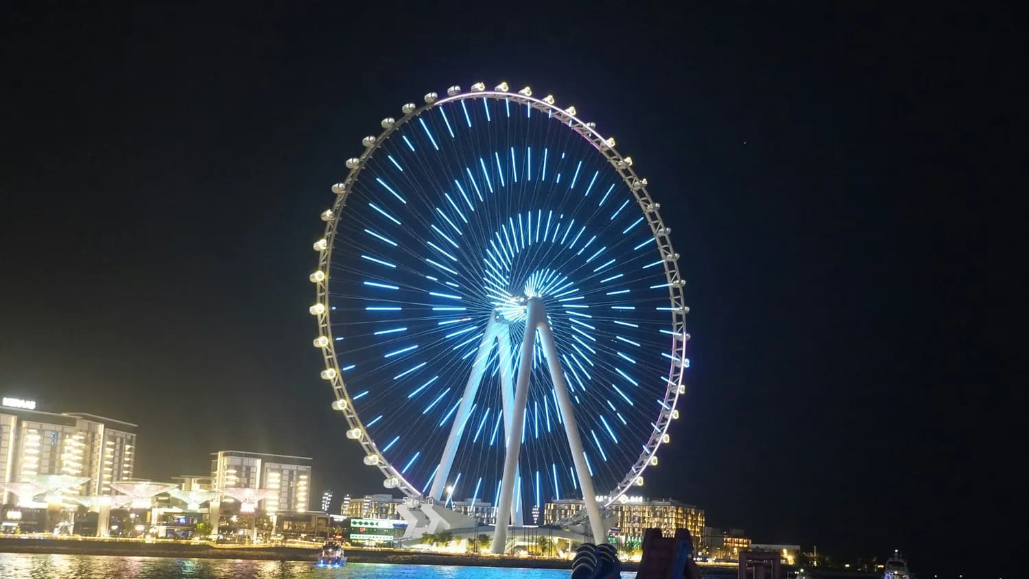 深圳湾公园：夜拍打卡胜地