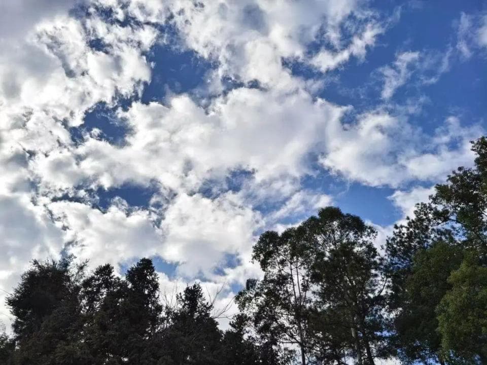 今晚到明天风力增大 云日晴好开启春运大幕