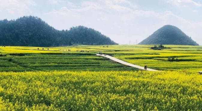 宅基地选址 17 问：探寻理想居住之地的奥秘