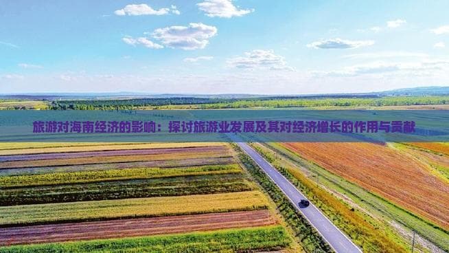 旅游对海南经济的影响：探讨旅游业发展及其对经济增长的作用与贡献