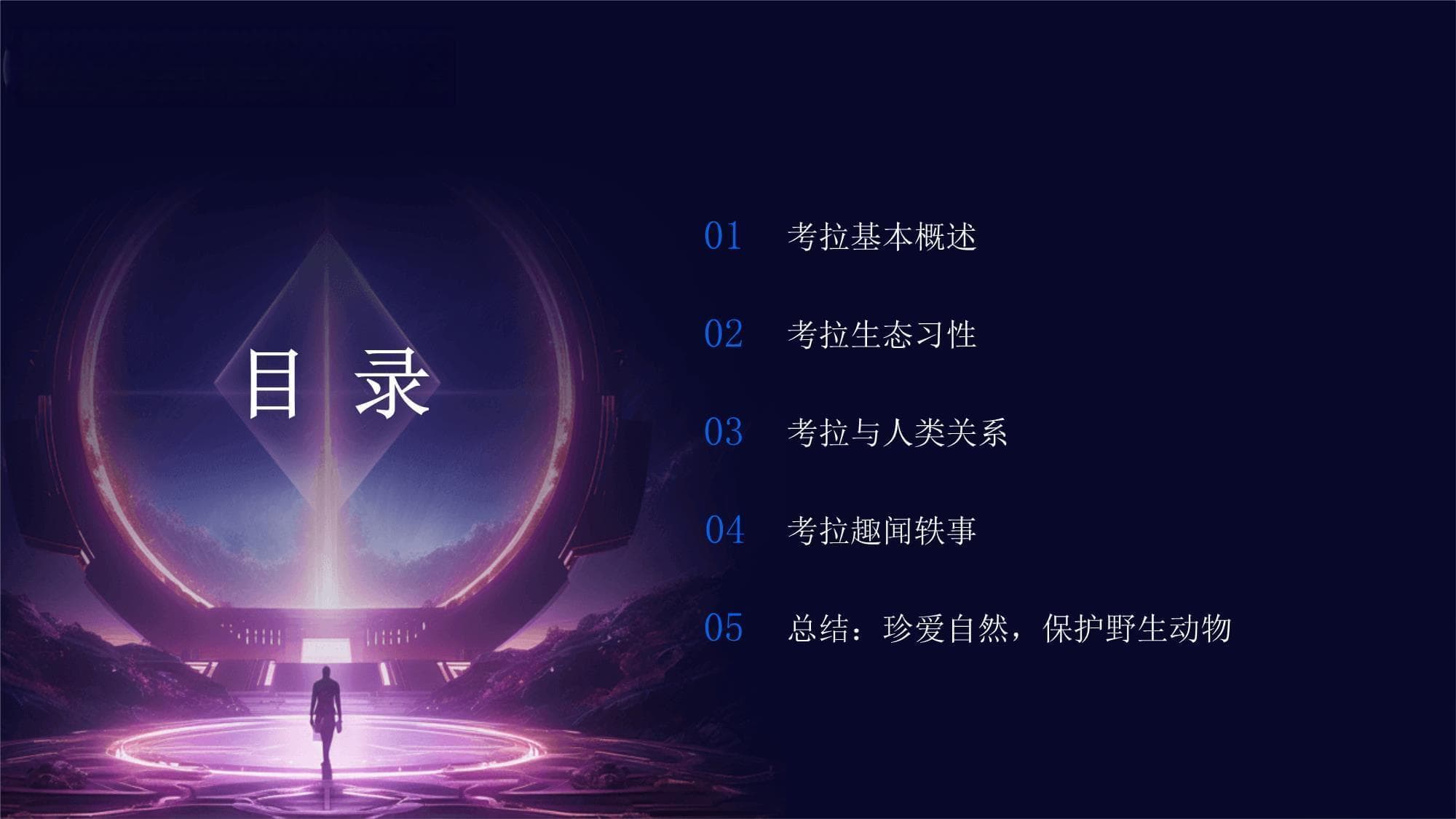 考拉：澳大利亚的“树袋熊”趣谈