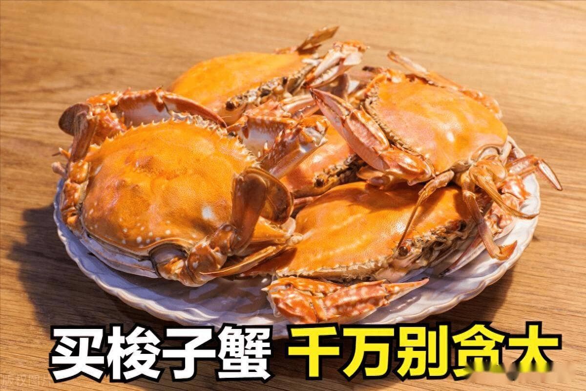 梭子蟹不是越大越好，四大技巧教你挑选肥美蟹