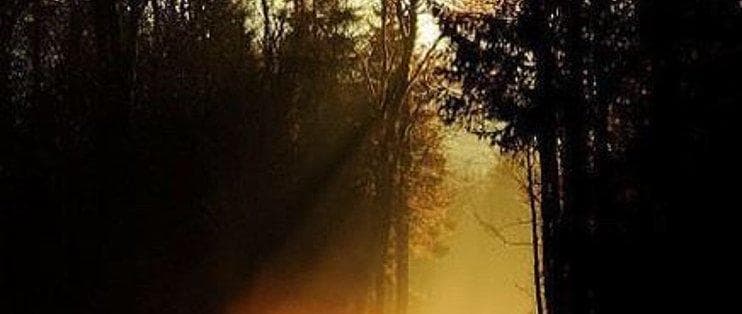 火山石对生态环境的影响探讨