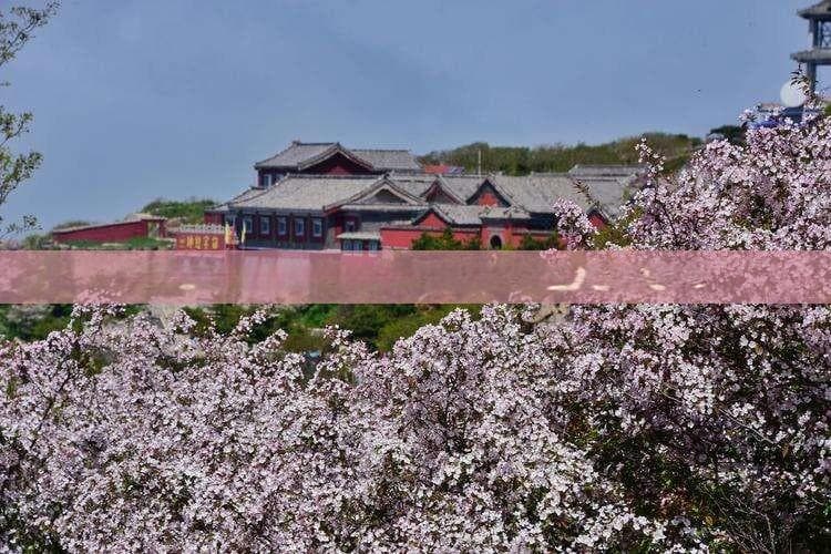 崇左市交通攻略：详细解析如何从各地前往崇左市的多种出行方式